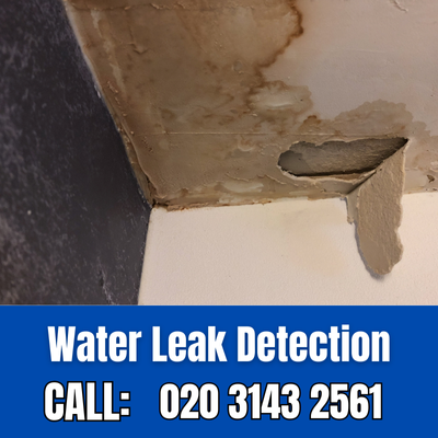 Expert Water Leak Detection Services in St John's Wood | St John's Wood Leak Detection